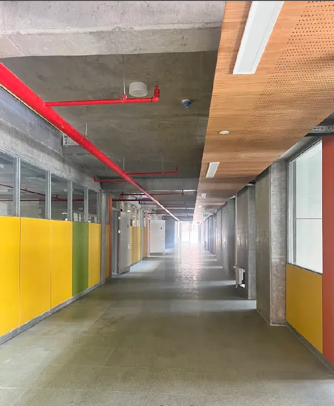 Sarı ve yeşil panelli, ahşap tavanlı aydınlık koridor